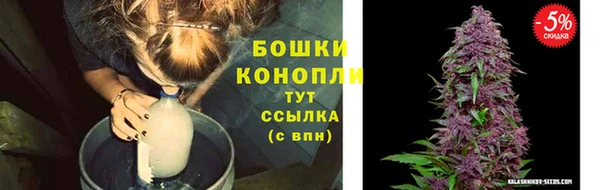 PSILOCYBIN Навашино