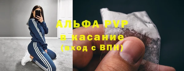 PSILOCYBIN Навашино