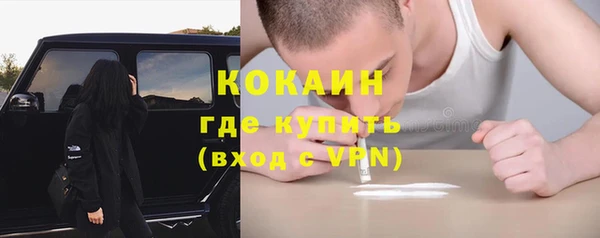 PSILOCYBIN Навашино