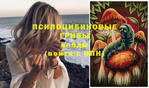 PSILOCYBIN Навашино
