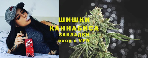 PSILOCYBIN Навашино